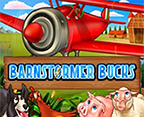 Barnstormer Bucks